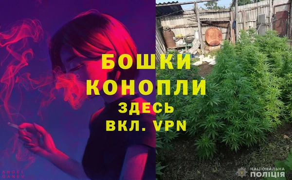 мдпв Краснослободск