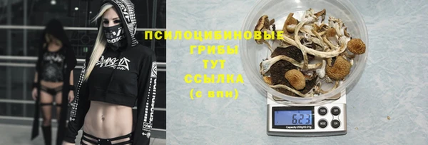 первитин Зеленодольск