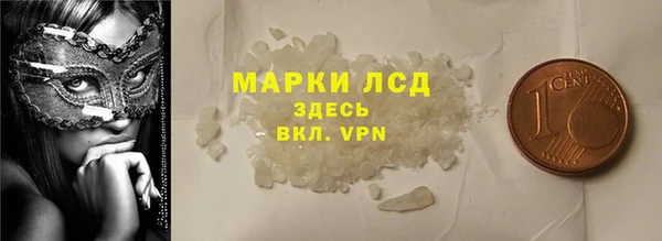 гидра Кущёвская