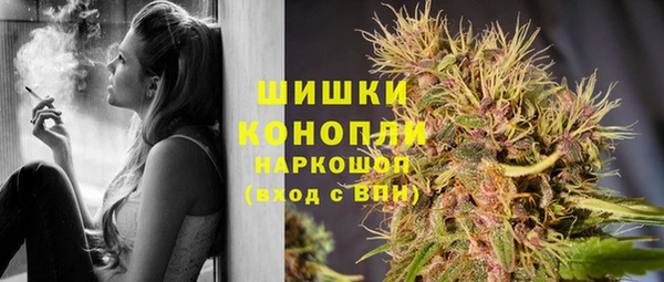 spice Вязьма
