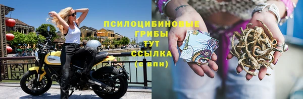 MESCALINE Вяземский