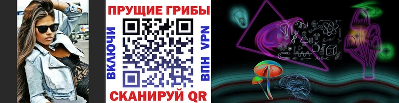 дарнет шоп  Вязьма  Псилоцибиновые грибы GOLDEN TEACHER 