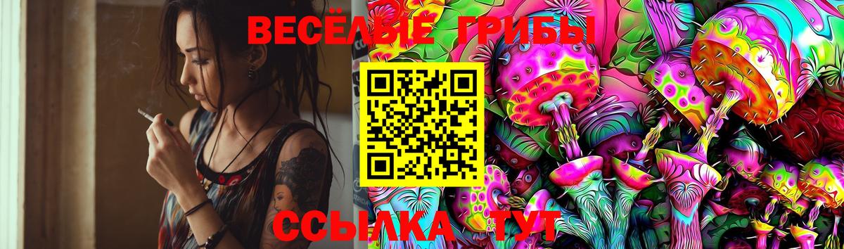 Псилоцибиновые грибы Psilocybine cubensis Вязьма